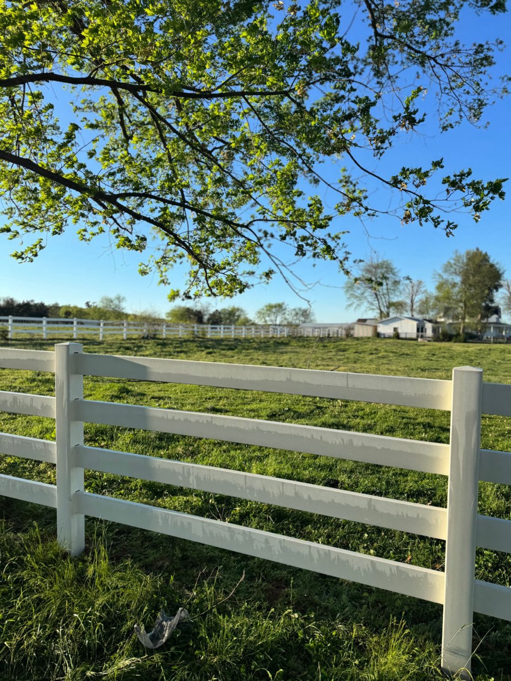 White vinyl fence after cleaning