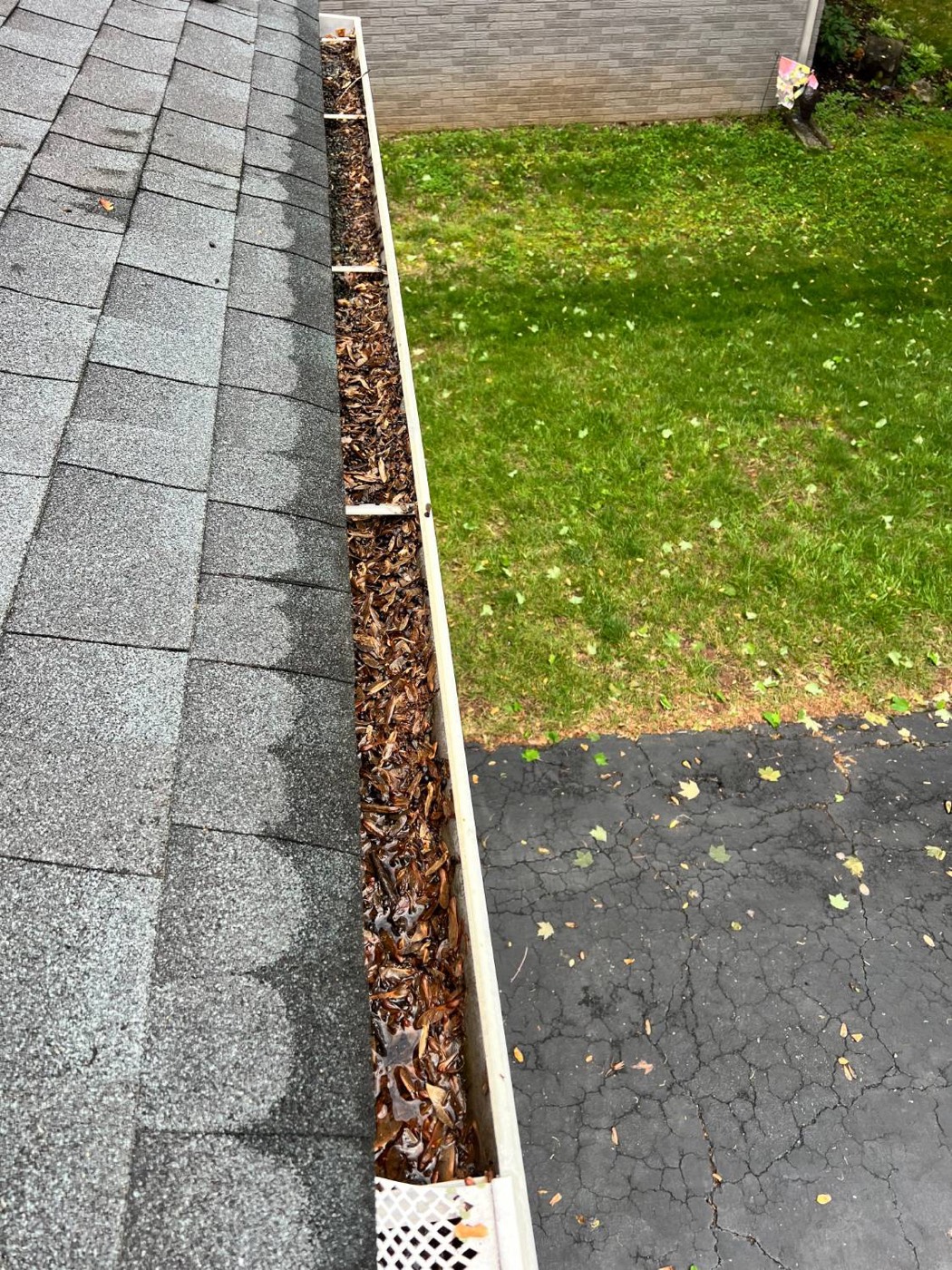 Gutter packed with wet leaves