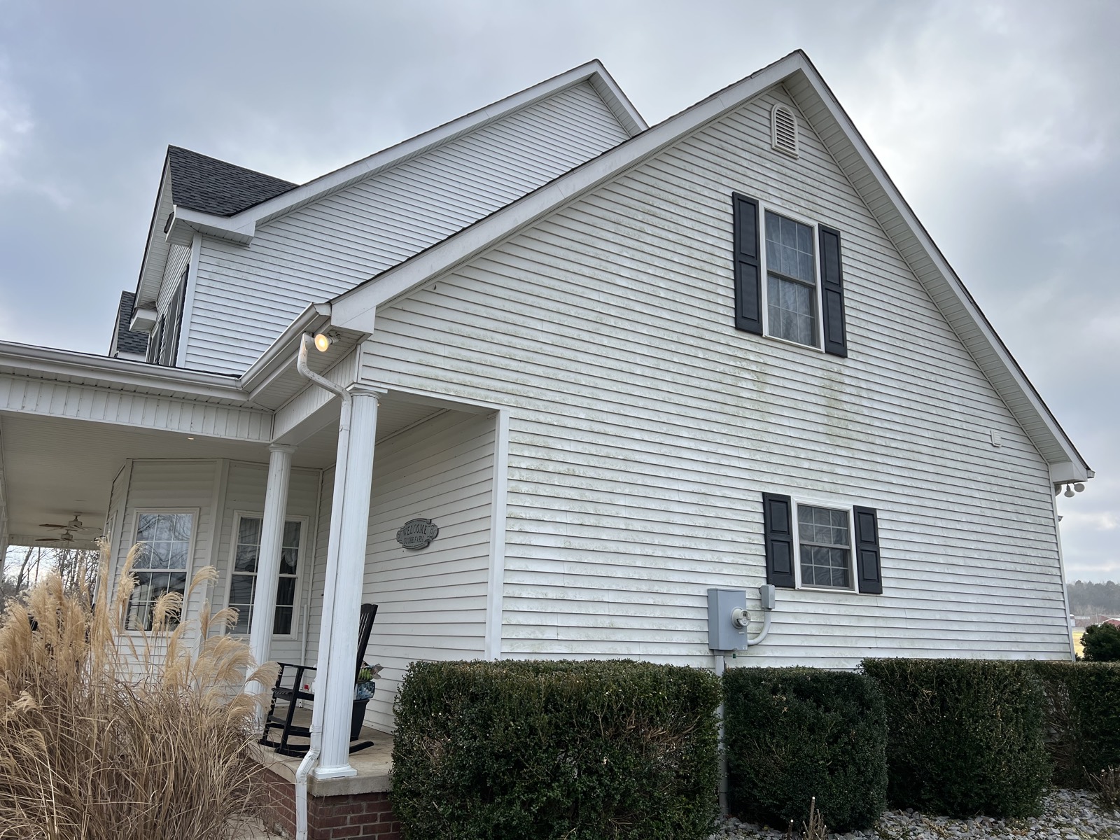 White vinyl siding house with green algae streaks before washing